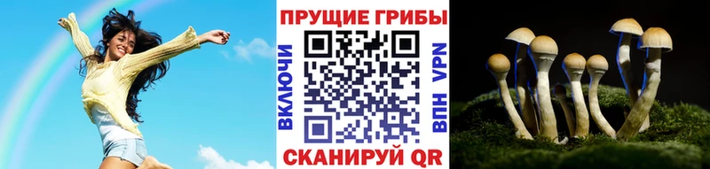Галлюциногенные грибы Cubensis  что такое наркотик  Николаевск 